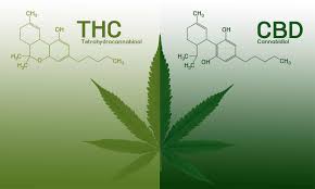 Image result for thc"