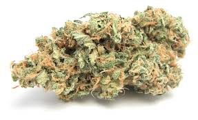 Image result for hybrid strains